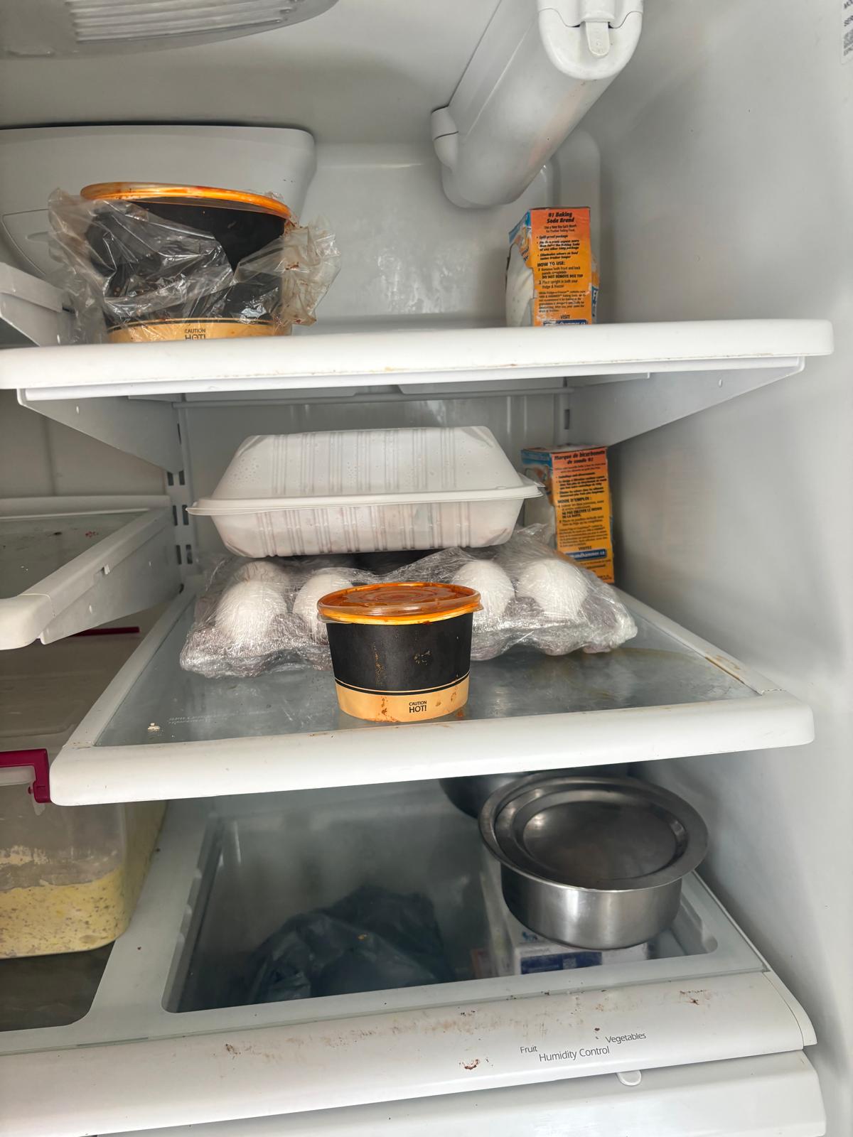 Refrigerator Interior BEFORE