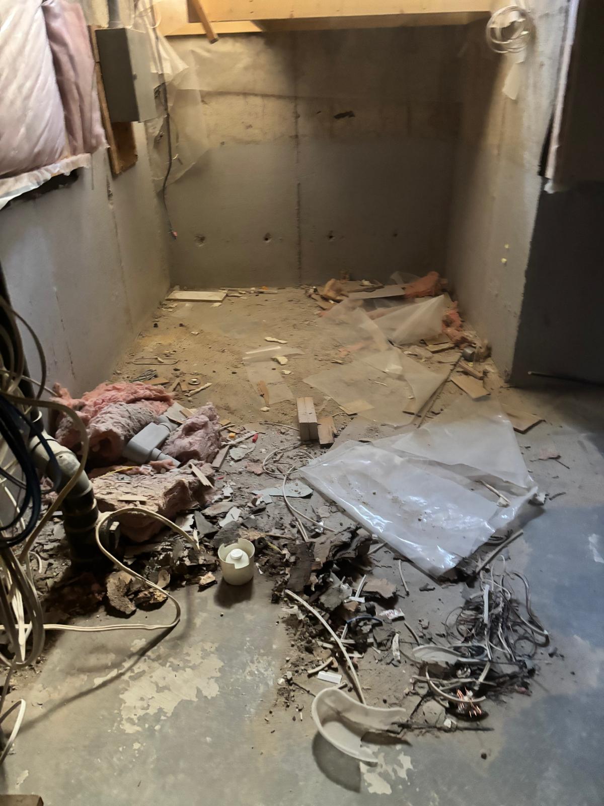 Basement Cleanout BEFORE