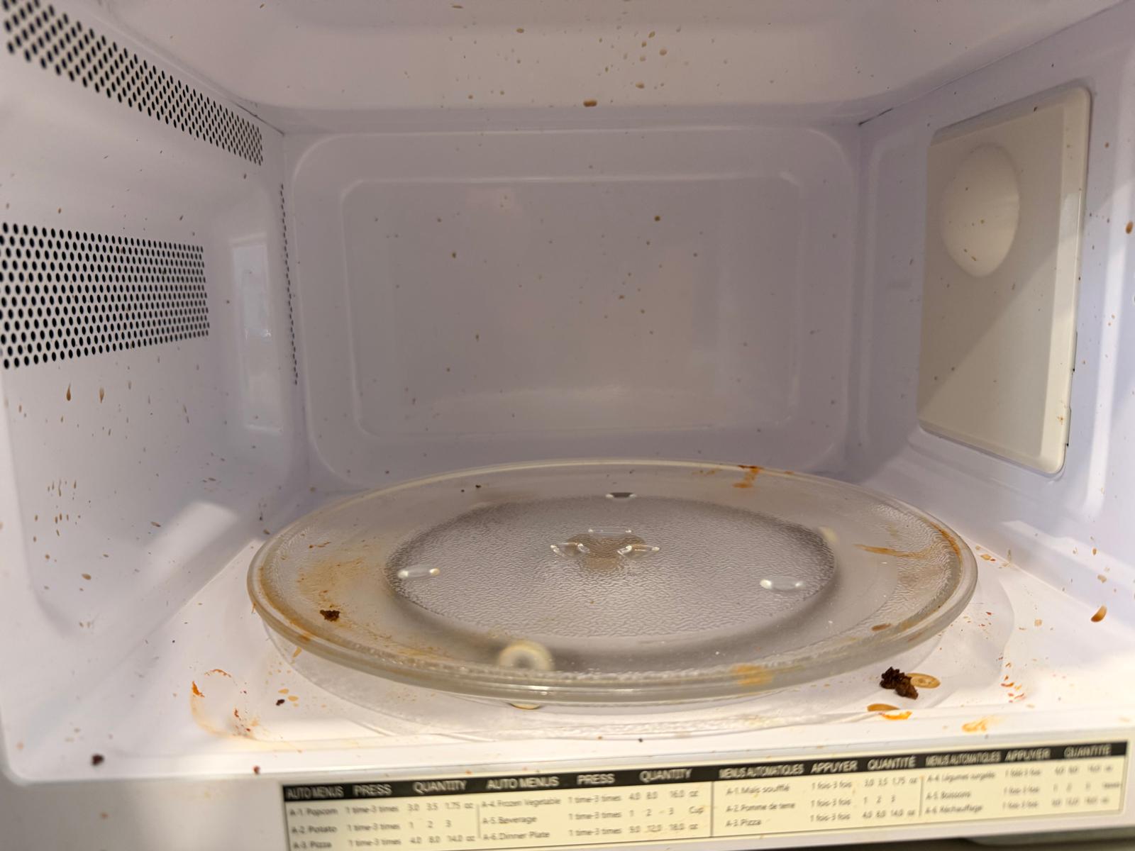 Microwave Deep Clean BEFORE